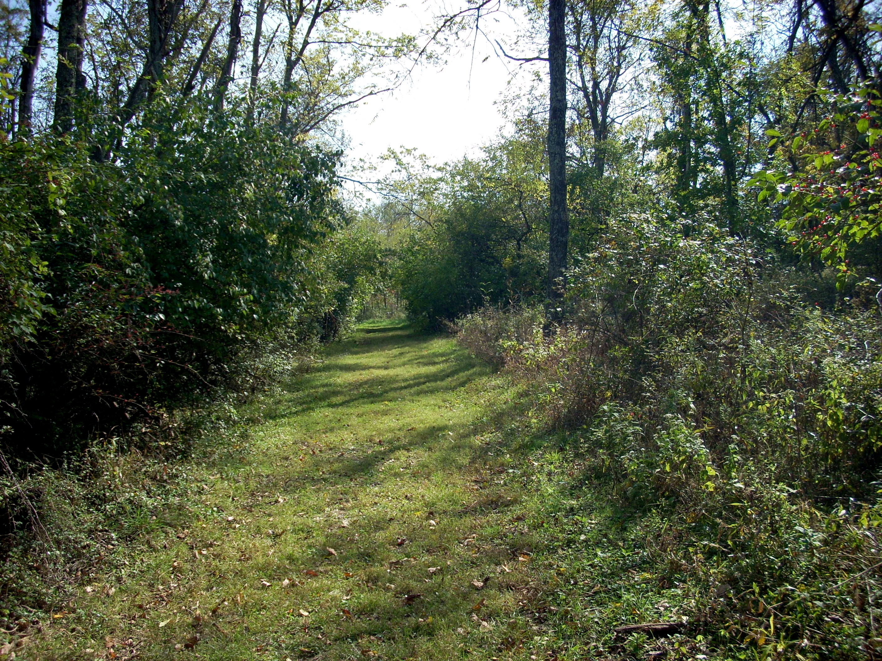 Raven Run Hiking Red Trail